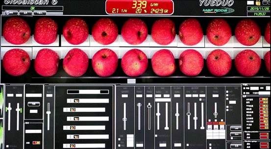 |85后海归痴迷“苹果梦”:种出比肩“苹果之王”的高端品牌