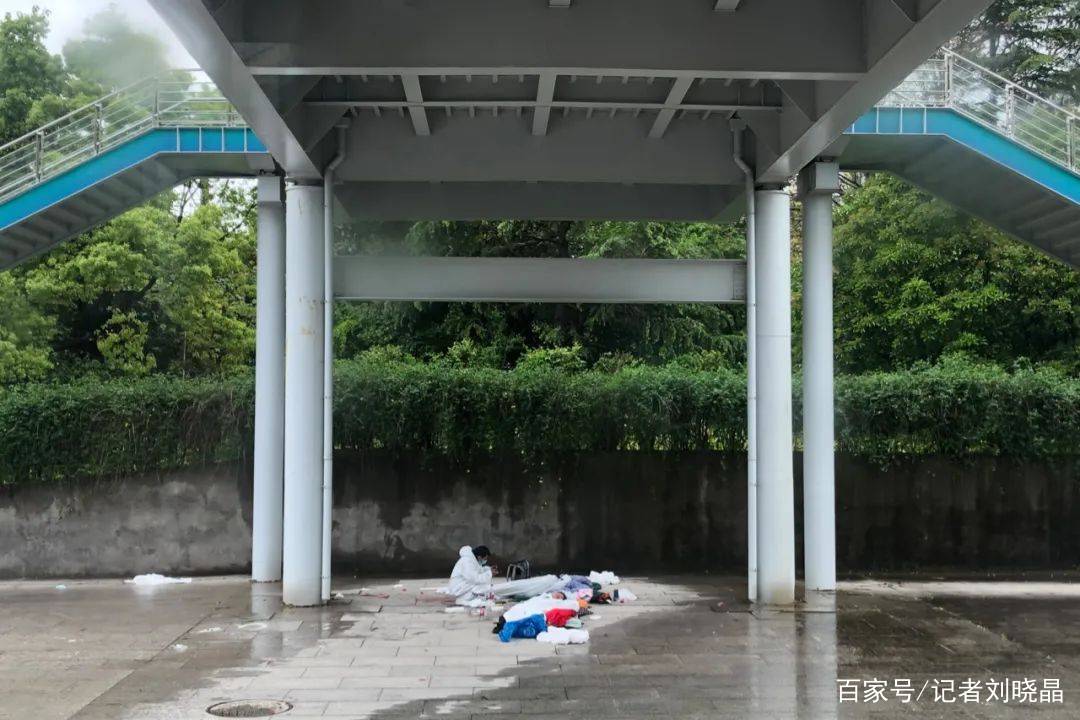 进舱日记day14回家天桥下就地而睡的大白令动容