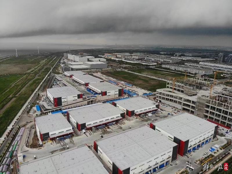临港|实拍!暴风雨来袭,临港方舱医院未雨绸缪厉害了