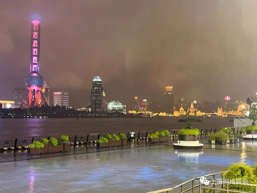 长草|网传外滩长草了?结果连夜调查实拍图真相了!