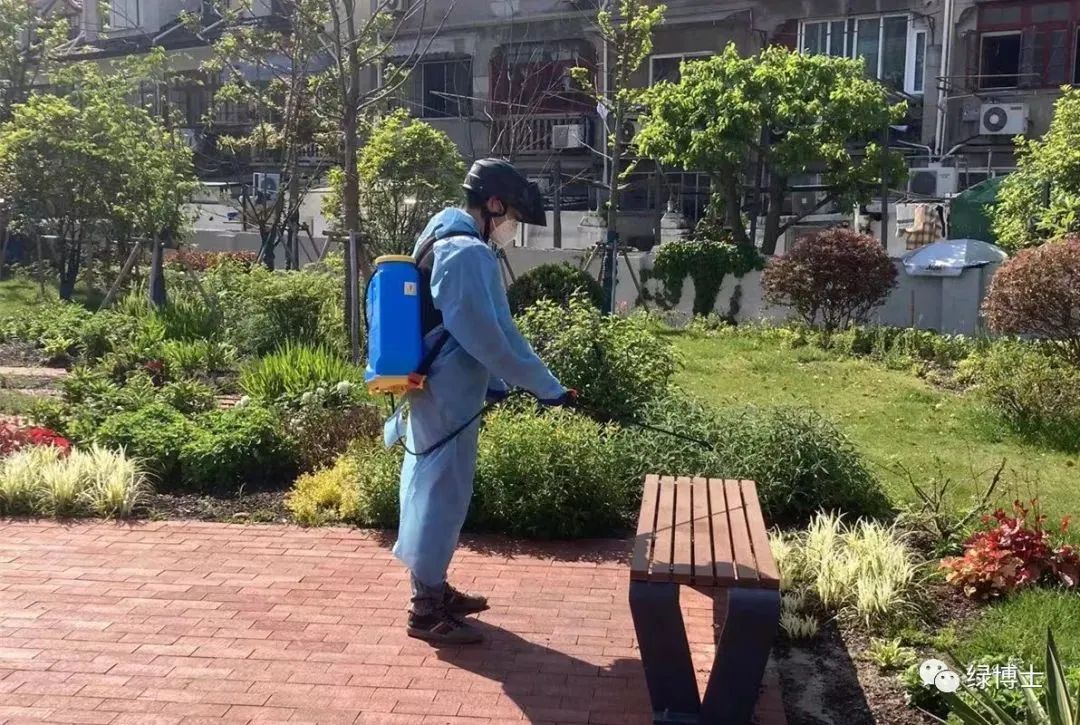 绿化养护|好消息!全市园林绿化养护复工复产工作有序推进中