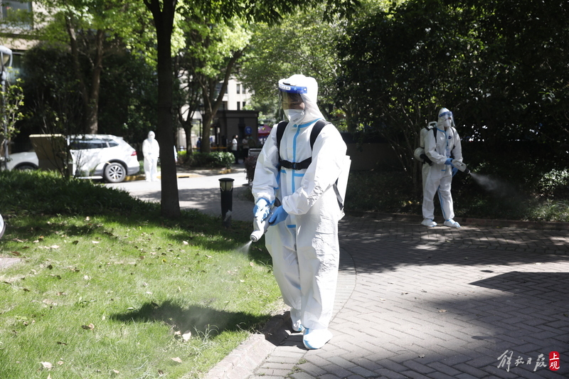 消杀|厉害!上海卫生消杀人员集中三天行动歼灭蚊蝇