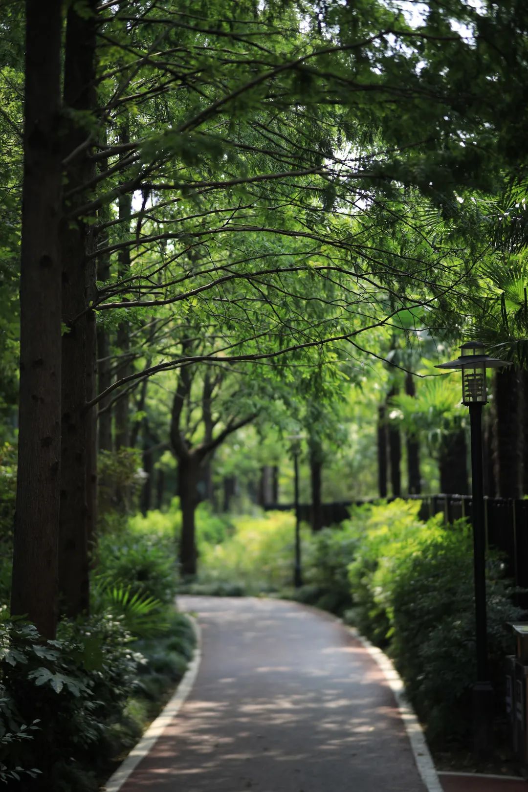 绿色|街拍林荫深处探清凉,上海夏日的小美好……