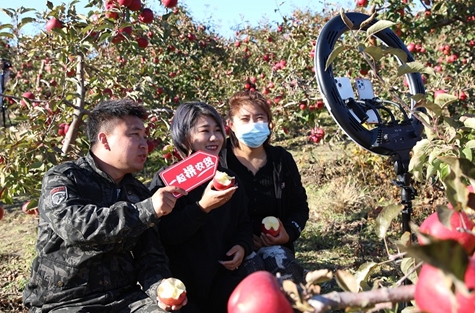 |在“一眼望三国”的珲春,这群“新农人”为孟岭苹果拼出新天地