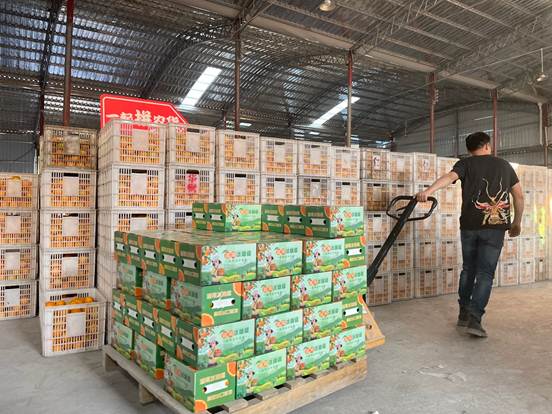 |“中国冰糖橙之乡”线上成长记:麻阳冰糖橙借电商IP出圈,产业弯道超车