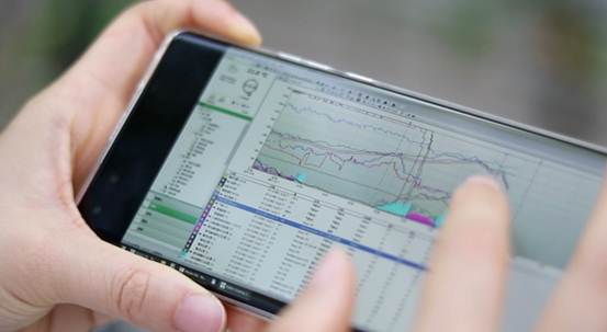 |拥有“户口本”的山东番茄:消费者想吃什么口味,我们就种什么口味