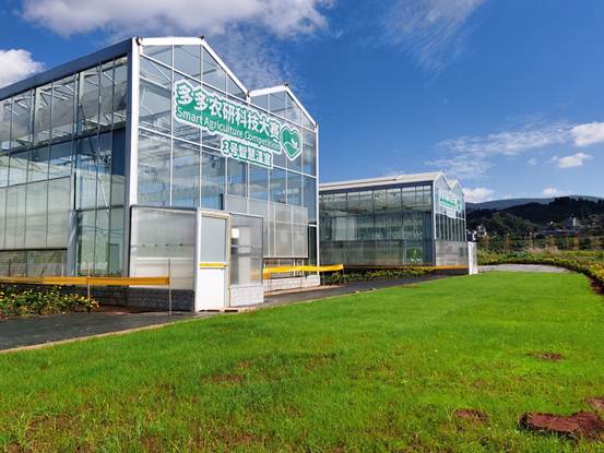 |拥有“户口本”的山东番茄:消费者想吃什么口味,我们就种什么口味