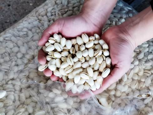 |拼多多启动年货节：携手上千农副产品品牌，百亿补贴助推城乡“年货共享”