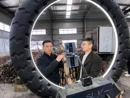 |洪湖水浪打浪，洪湖的莲藕吃了不想走