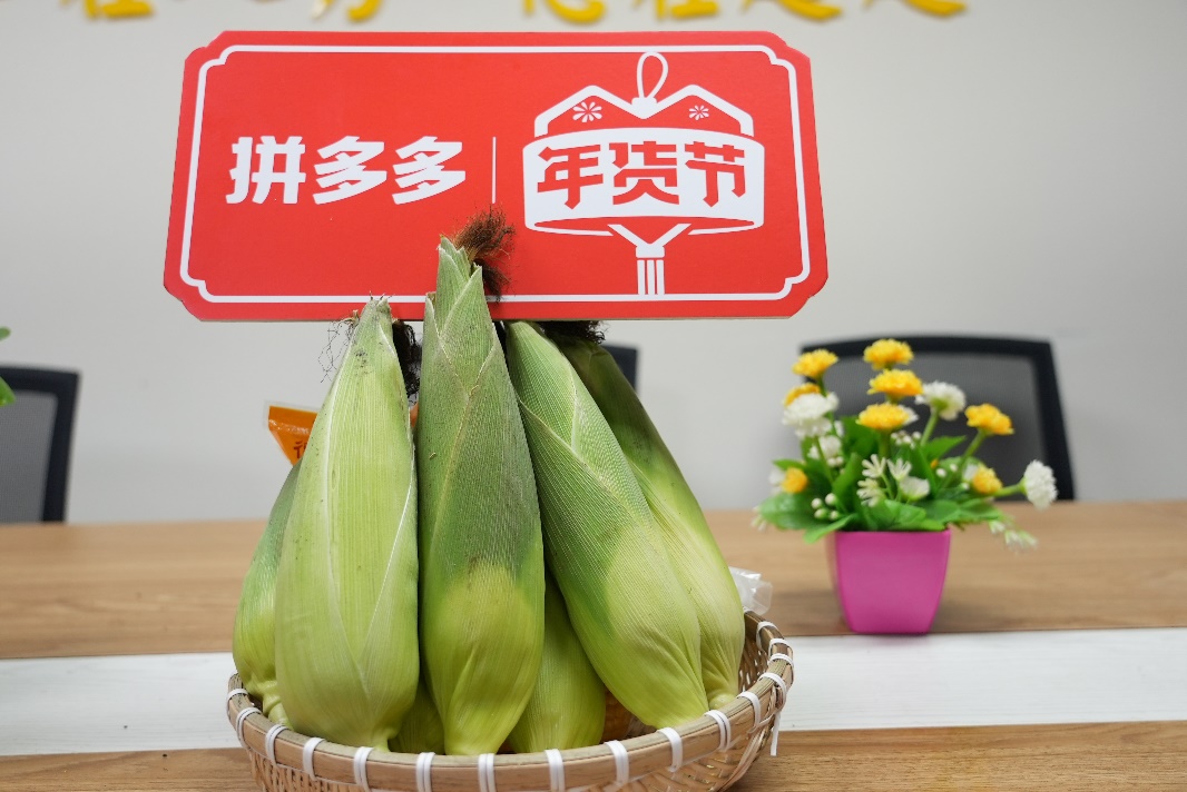 |横州年轻人返乡创业记:打工那么苦 不如回家卖“苞谷”