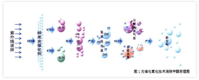 |一装修就患上“甲醛恐惧症”？关于甲醛你该了解这些