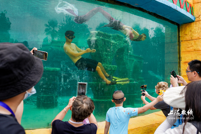 水滑道|实拍!沪上市民玛雅水公园戏水消暑!潜水区惊现＂美人鱼＂…