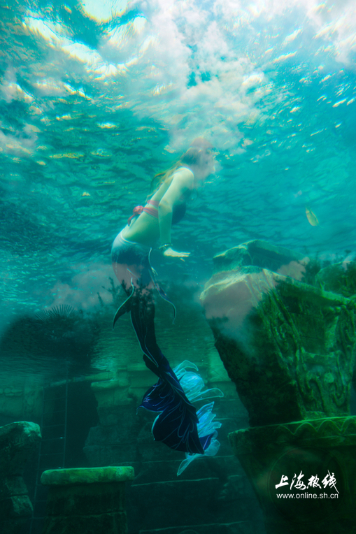 水滑道|实拍!沪上市民玛雅水公园戏水消暑!潜水区惊现＂美人鱼＂…