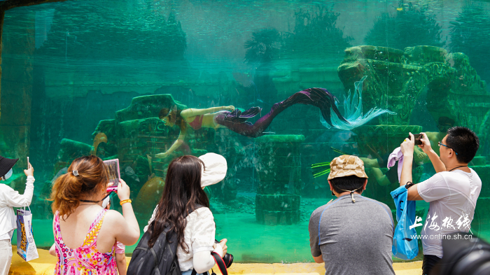 水滑道|实拍!沪上市民玛雅水公园戏水消暑!潜水区惊现＂美人鱼＂…