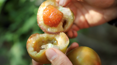 |服务8亿人的年货节，怎能少了寿光蔬菜？