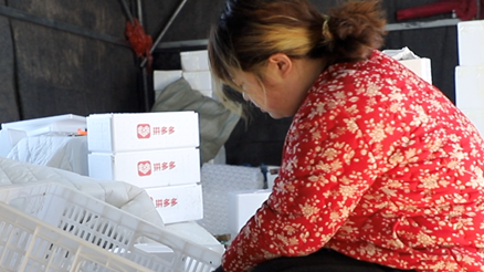 |服务8亿人的年货节，怎能少了寿光蔬菜？