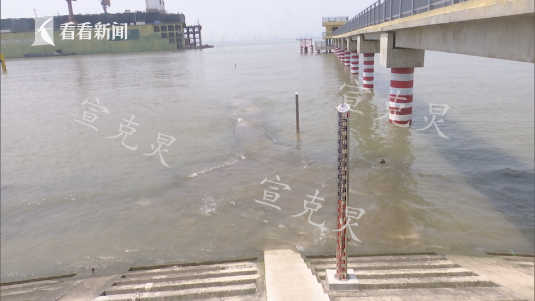 码头|上海一家三口在长兴岛码头游玩时落水 不幸身亡