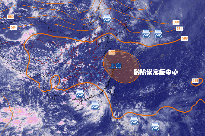 8月|上海人高温望不到头?气温再度冲刺!或达40度!