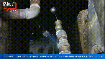 业委会|yue了yue了,沪一居民区水箱惊现毛骨悚然之物,快看看你家的水箱还好吗?