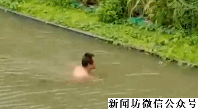 摸鱼|沪一男子下河摸鱼，鱼没捞到裤子没了...超大型＂社死现场＂