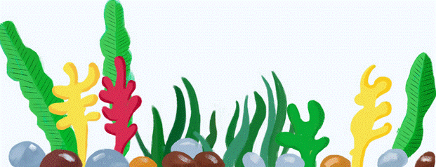 教育类型|这些新规5月1日起施行