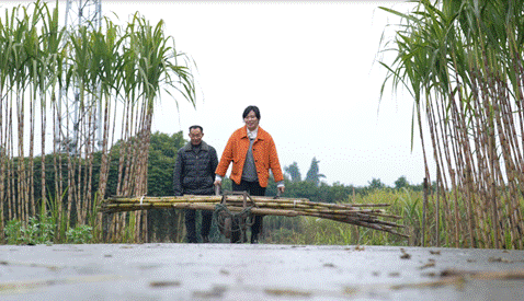 |90后拼多多新农人的情怀 传承百年古法技艺带民致富