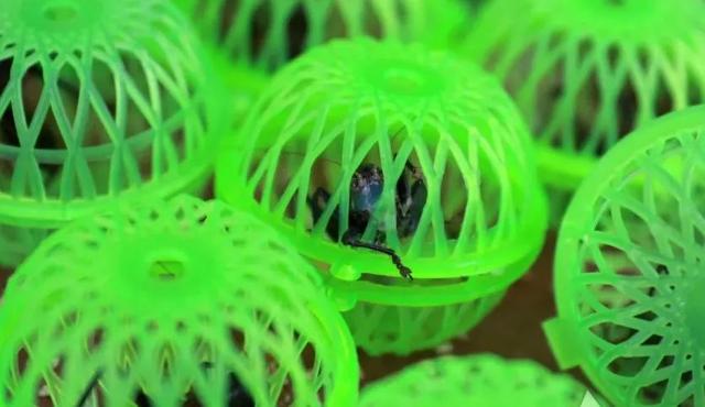 神器|上海人懂的入！天热了，侪欢喜到这市场里…买买买