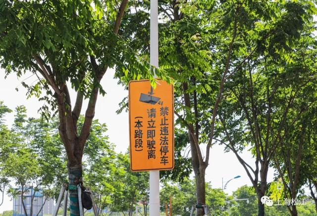 城市软实力|当有人在这条路上1个月收到12张罚单，你怎么看、有啥招……