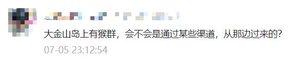 惊现|逛吃海喝！上海多地惊现猴哥，其实背后有隐情！更危险的是…