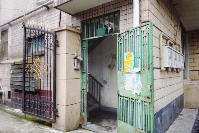 楼道|静安一老人在楼道内养猫，邻居夜间回家常见十几只猫蹲走廊里直勾勾看着