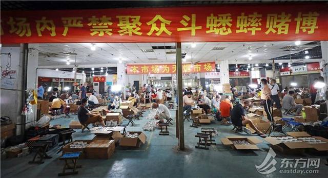 上海聚|上海蟋蟀市场最近老闹忙 甲骨文“秋”字原型就是它