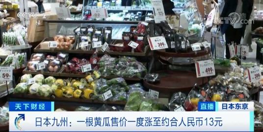 生菜|一根黄瓜卖到13元！一棵生菜要15元！这里的菜价涨疯了