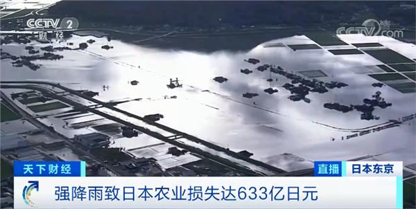 生菜|一根黄瓜卖到13元！一棵生菜要15元！这里的菜价涨疯了