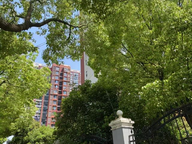 取景|上海一热播剧取景小区，居民因为TA吵开了！有人甚至抡起了棍子