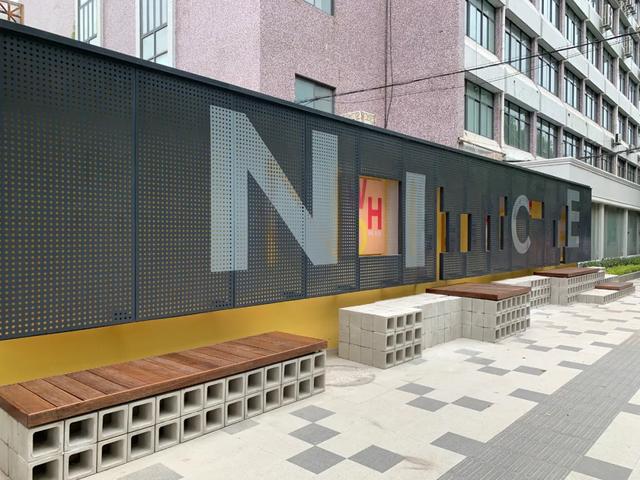 养猫|养猫养狗不稀奇!上海开始流行“认养”椅子