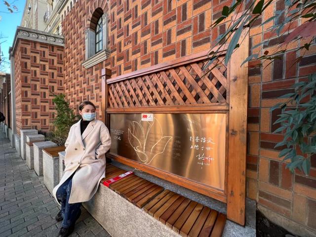 养猫|养猫养狗不稀奇!上海开始流行“认养”椅子