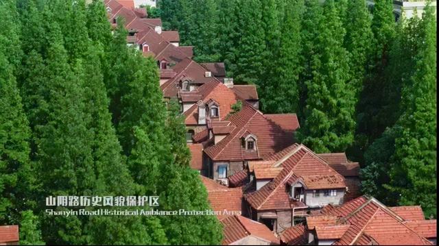 历史建筑|时光魔法启动！山阴路历史风貌保护区大修
