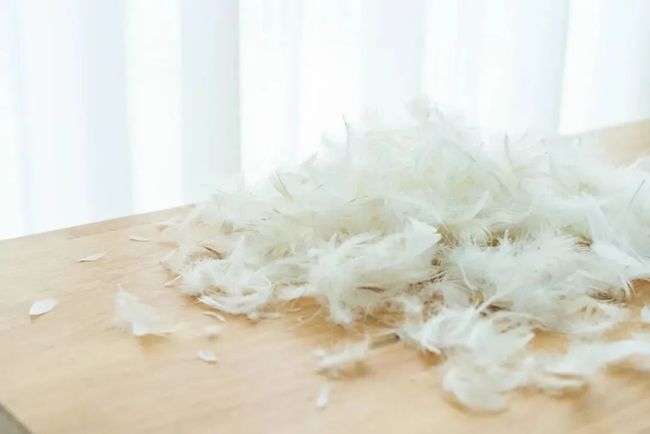 方式优化|手洗、机洗、干洗，最适合清洗羽绒服的方式竟然是……