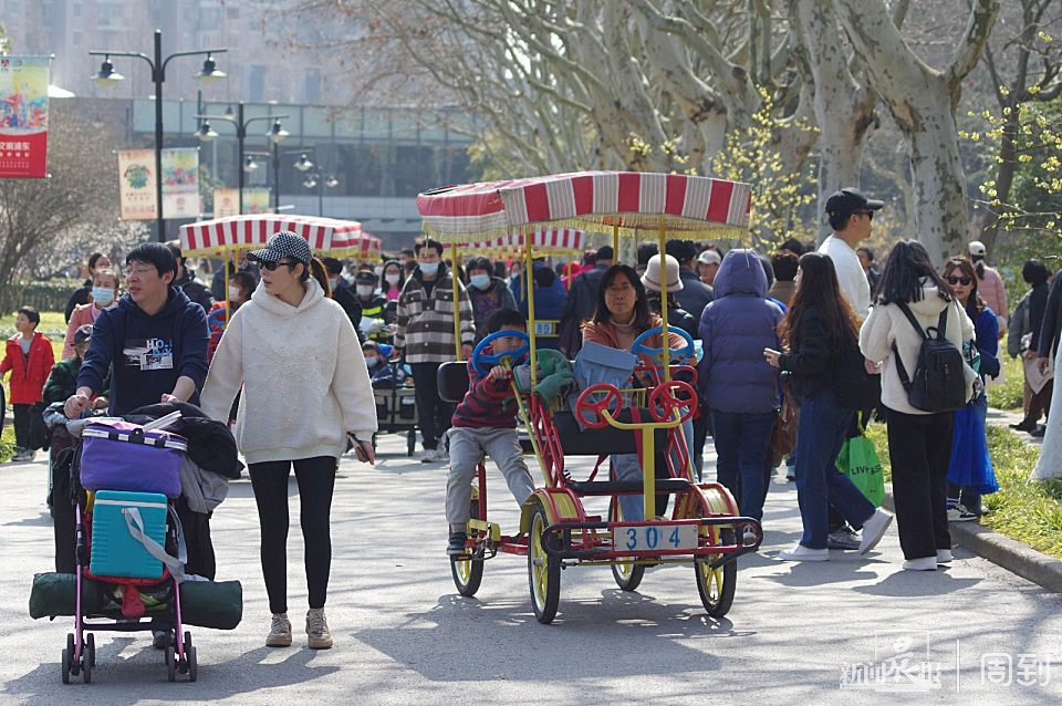 探春|上海气温一路升高？沪上公园溜娃的又开始扎堆