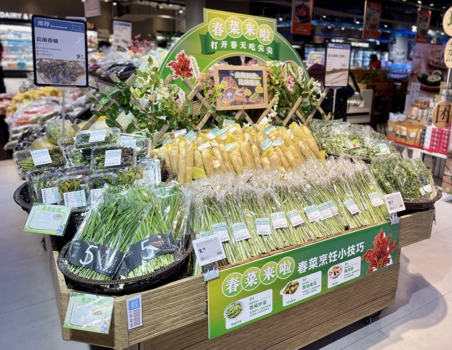 春菜|香椿、马兰头、马齿苋……时令春菜相继上市