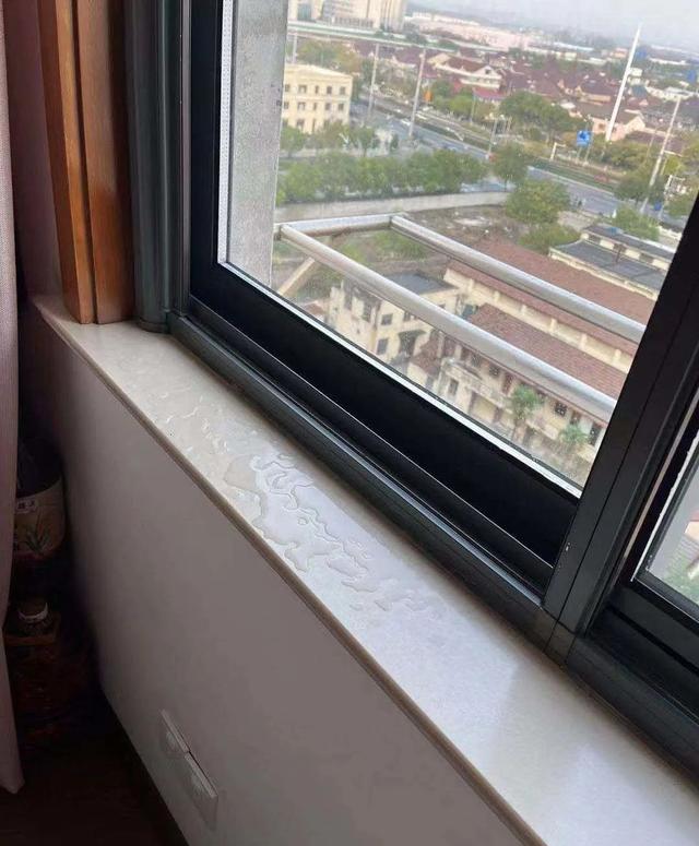 水帘洞|房漏漏!墙裂裂!屋霉霉!沪上110户居民,5年熬到崩溃!竟要举家“逃难”