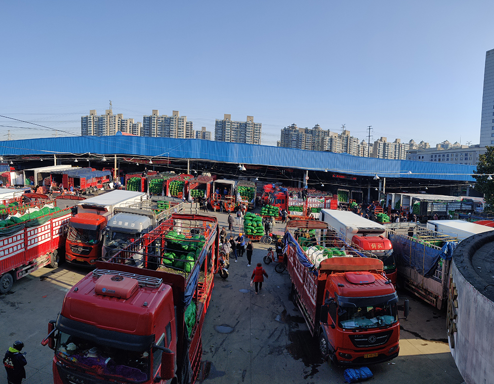 小区|不用囤!上海蔬菜管够还降价!封控小区主副食品优先送上门