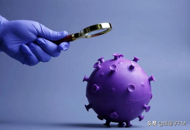 合胞体|为什么传播力强、症状轻?奥密克戎四大谜团揭秘!预期中的“双毒合一”也来了