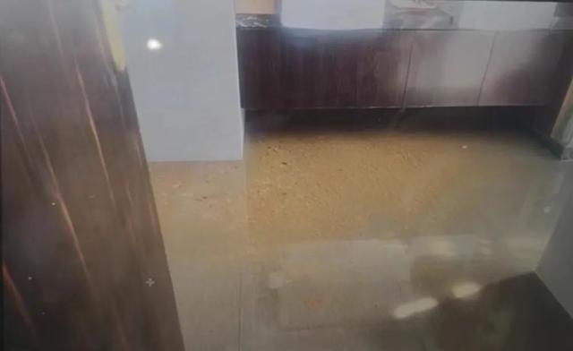 开发商|大水漫灌!粪水倒灌!汤臣一品9500万的房,业主:10多年没过舒坦日子