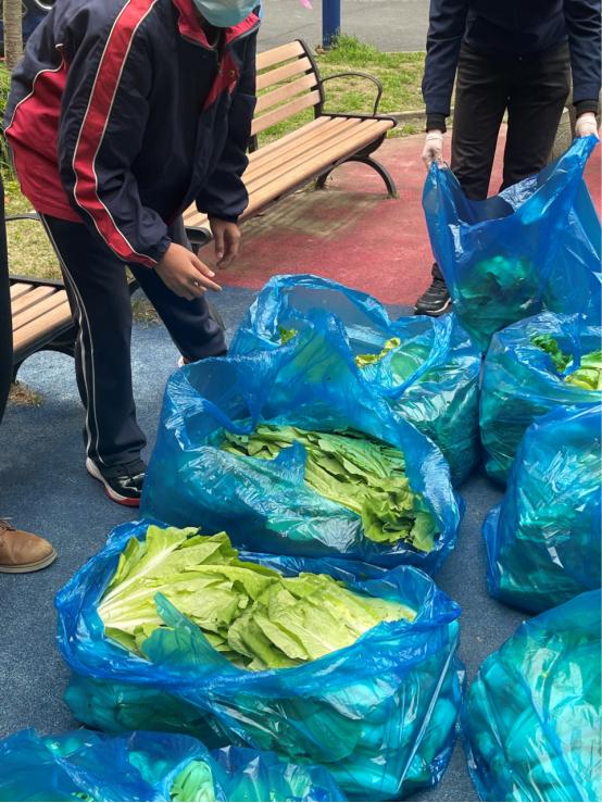 好邻居|封控小区居民自购150斤蔬菜赠送老人后,发生了什么?