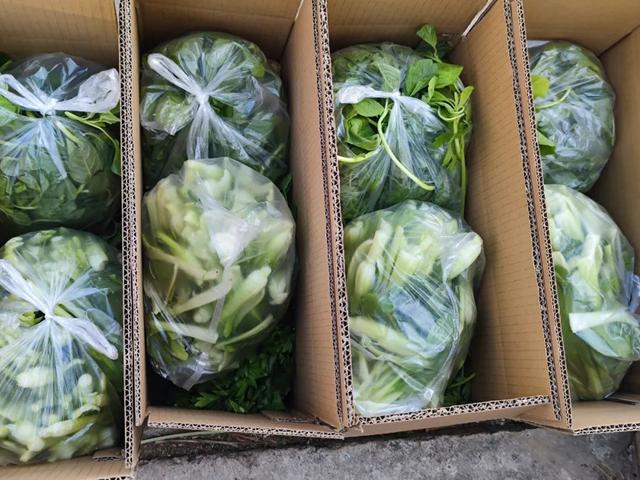 灶头|48小时从“田头”到“灶头”，线上平台做好“摆渡人”