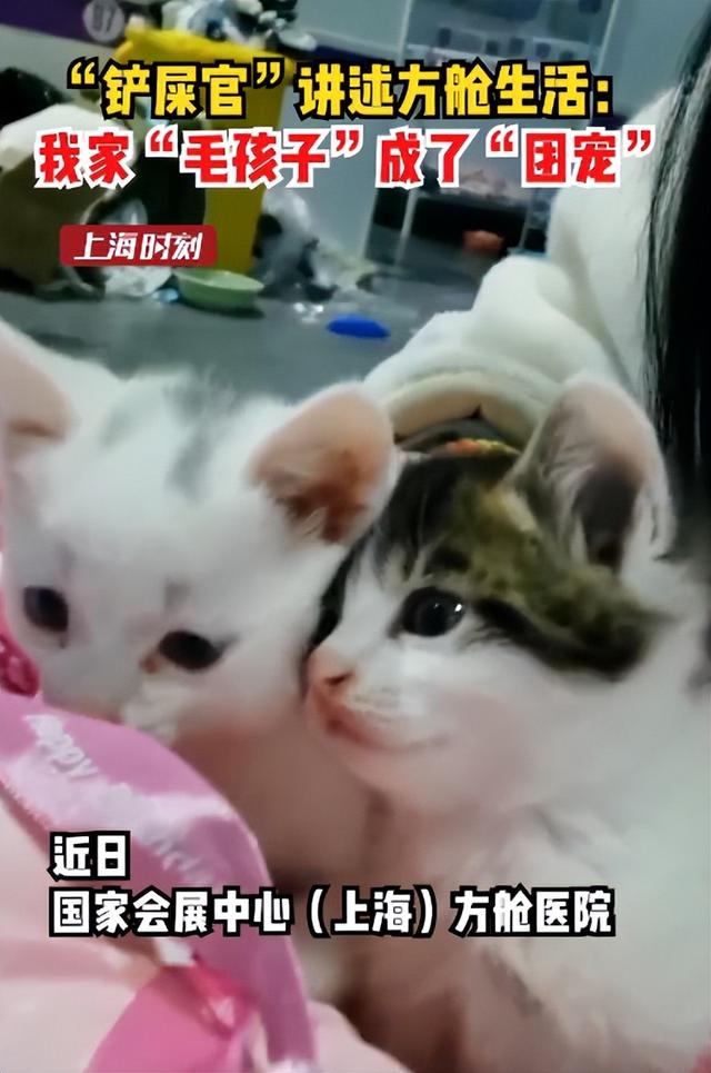 毛孩子|“铲屎官”带小奶猫进舱:我家“毛孩子”成了“团宠”