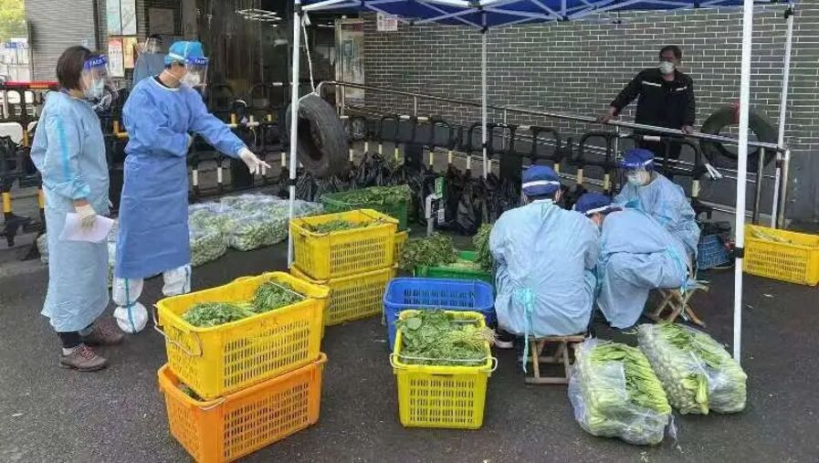 寄生虫感染|盒饭里有寄生虫?上海各区新一批监管调查情况公布