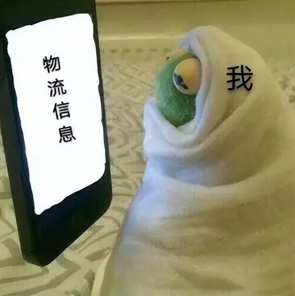 白名单|上海人,你的快递动了吗?个人散件开始派送了!3月底的快件终于到了