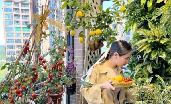 90后|第一批“居家种菜”的“90后”,已经成了“蔬果大户”……